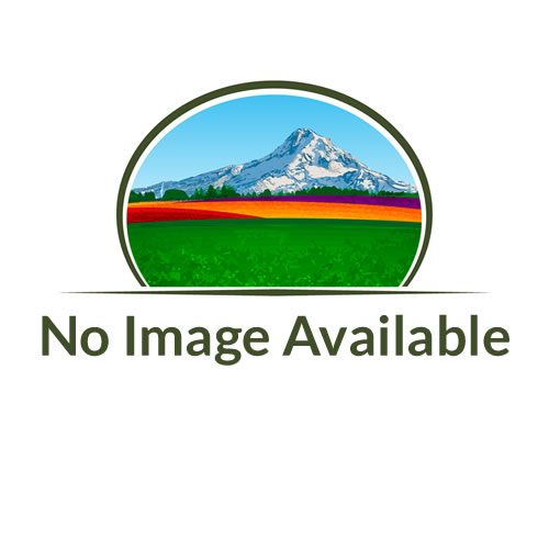 No Image Available