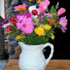 Tall Cascade Mountain Mix